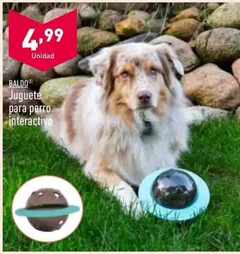 ALDI Juguete Para Perro Interactivo oferta