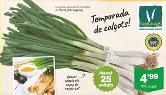 Sorli Cebolleta oferta