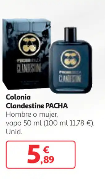 Pacha Colonia Clandestine Hombre o mujer, vapo 50 ml