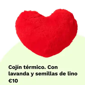 Cojín térmico san valentín