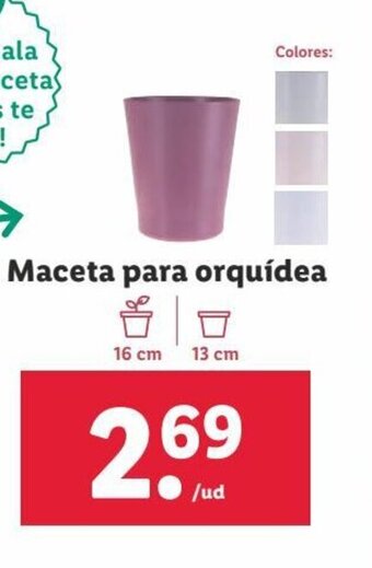 Lidl Maceta Para Orquídea oferta