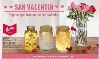ALDI Living art botella con led de san valentin oferta