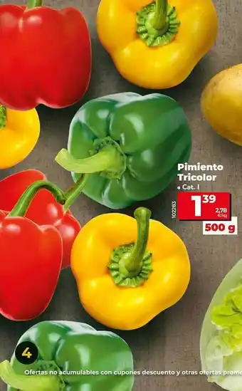 Dia Pimiento tricolor oferta