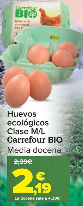 Carrefour Huevos ecológicos clase m/l carrefour bio oferta