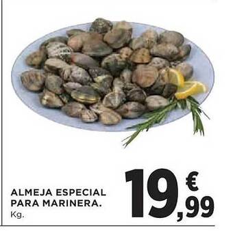Almeja especial para marinera
