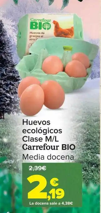 Carrefour Huevos ecológicos clase m-l carrefour bio meda docena oferta