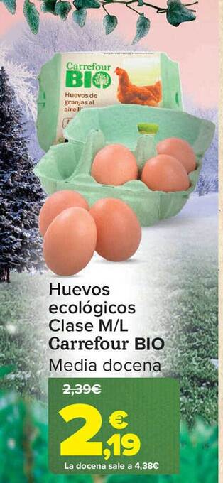 Carrefour Huevos ecológicos clase m-l carrefour bio oferta