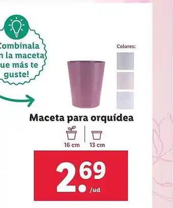 Lidl Maceta para orquidea oferta