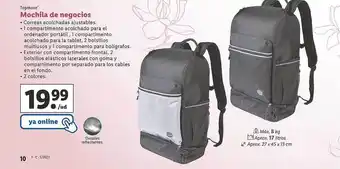 Lidl Topmove mochila de negocios oferta