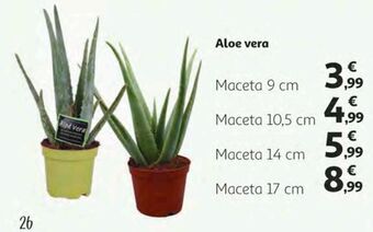 Alcampo Aloe vera oferta