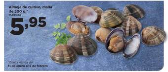 Alimerka Almeja de cultivo, malla oferta