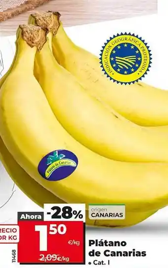 Dia Plástano de canarias oferta