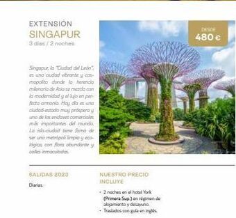 Viajes El Corte Inglés Extensión singapur 3 diss/ 2 noches singapur, la ciudad del león es una ciudad vibrante y cas mopolita donde la herencia mi oferta