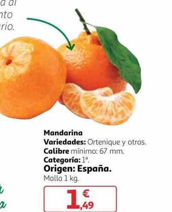 Alcampo Mandarina oferta