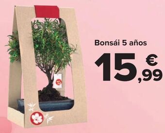 Carrefour Bonsái 5 años oferta