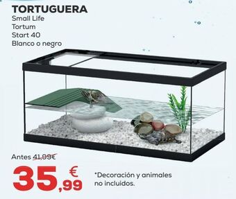 Kiwoko Acuario oferta
