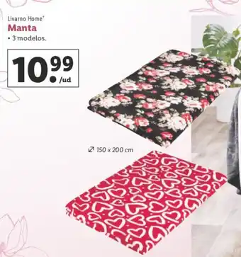 Lidl Manta oferta