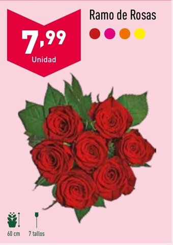 ALDI Ramo de Rosas oferta