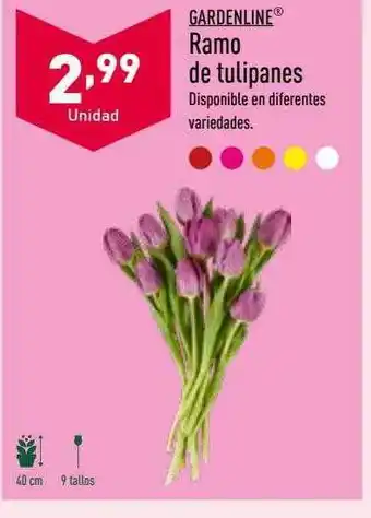 ALDI Gardenline ramo de tulipanes oferta