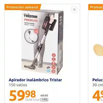 Action Aspirador inalámbrico oferta