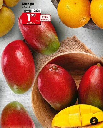 Dia Mango oferta