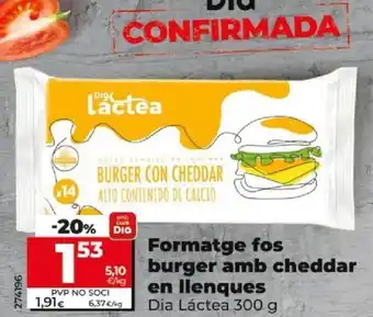 Dia Formatage Fos burger Amb Cheddar En Llenques oferta
