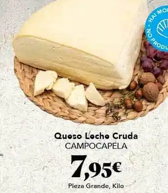 Gadis Queso leche cruda campocapela oferta