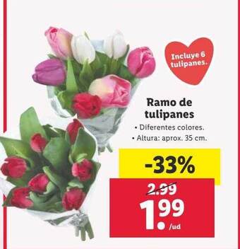 Lidl Ramo de tulipanes oferta