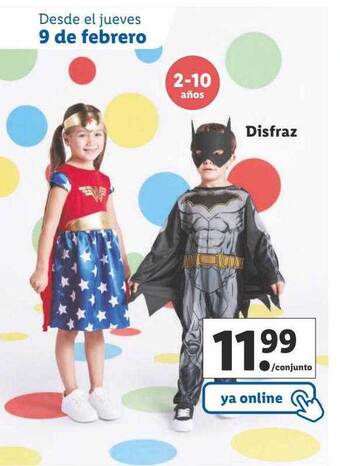 Lidl Disfraz oferta