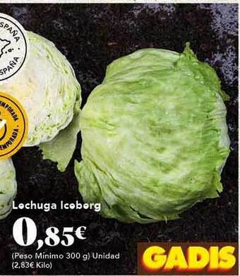 Gadis Lechuga iceberg oferta