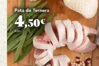 Gadis Pata de ternera oferta