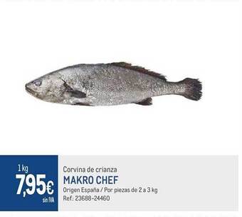 Makro Corvina de crianza makro chef oferta