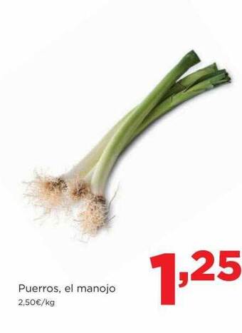 Alimerka Puerros, el manojo oferta