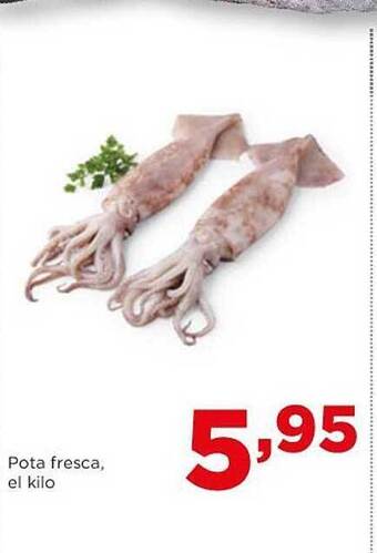 Alimerka Pota fresca el kilo oferta