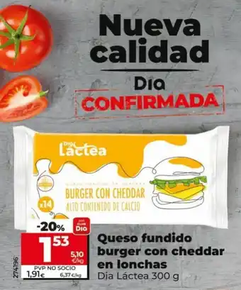 Dia Queso Fundido Burger Con Cheddae en Lonchas oferta