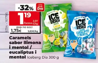 Dia Iceberg Dia 300g oferta