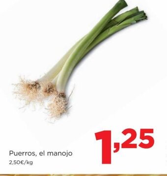 Alimerka Puerros, el Manojo oferta
