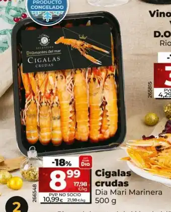 Dia Cigalas Crudas oferta