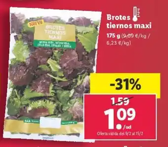 Lidl Brotes Tiernos Maxi 175g oferta
