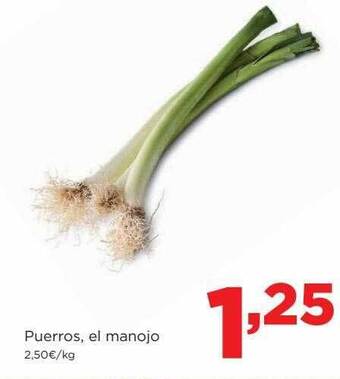 Alimerka Puerros el manojo oferta