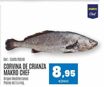 Makro Corvina de crianza makro chef oferta