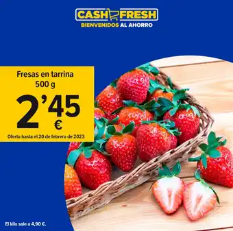 Cash Fresh Fresas En Tarrina 500 g oferta