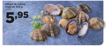 Alimerka Almeja de cultivo malla oferta