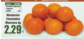 FROIZ Mandarina Clementina Mexicana Kg oferta