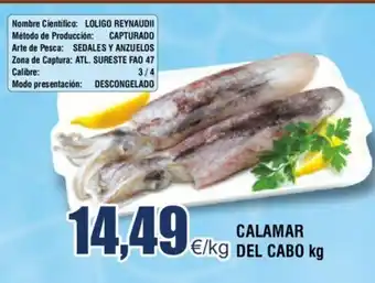 FROIZ Calamar Del Cabo Kg oferta