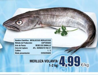 FROIZ Merluza Volanta 1-2 kg oferta