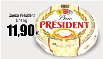 FROIZ Queso Président Brie Kg oferta