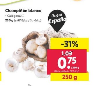 Lidl Champiñon Blanco oferta