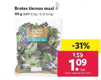 Lidl Brotes Tiernos Maxi oferta