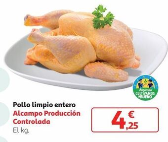 Alcampo Pollo oferta